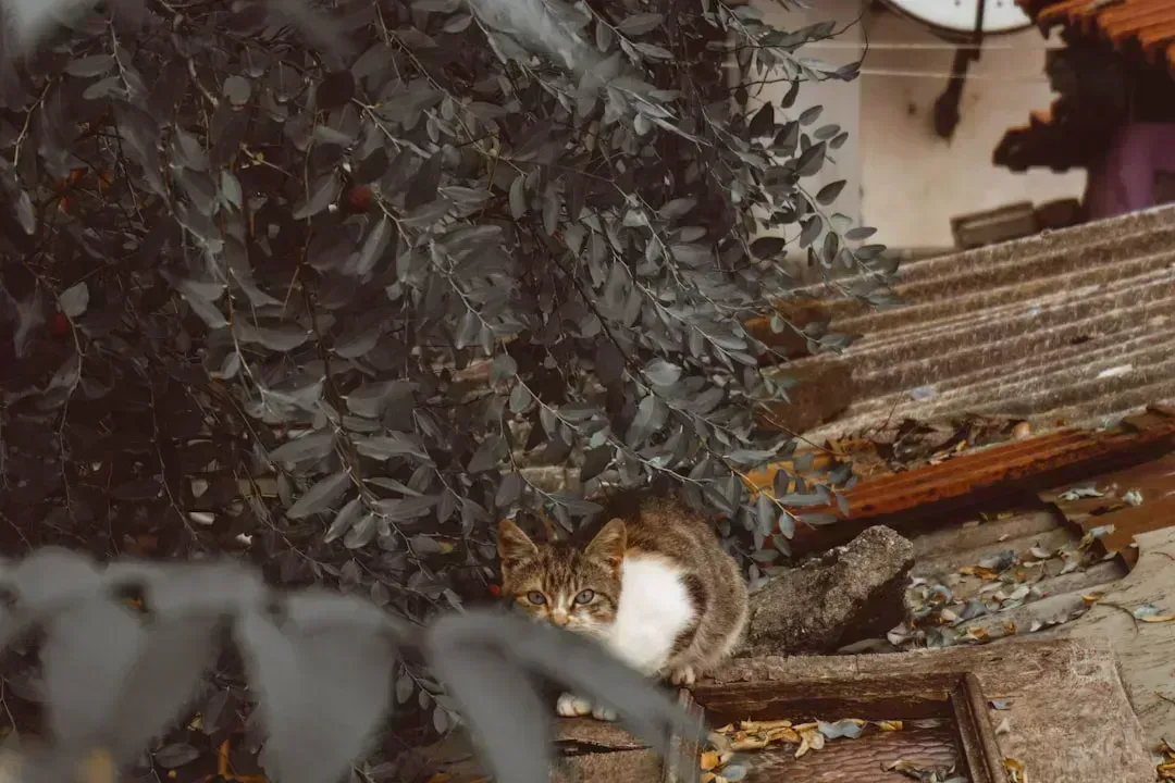 Bursa’da Hurda Metal Satışında Değerinizi Artırmanın Yolları